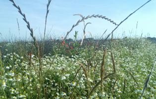 notre campagne